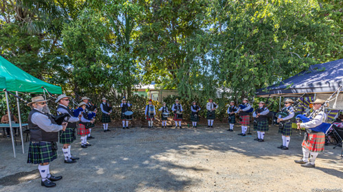 2021 Rockhampton Highlanders Archer Park Railway